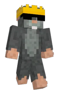 Front of RATonRICE's skin