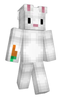 Front of korokl's skin