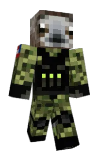 Front of Minecraft skin