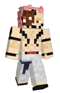 Front of Minecraft skin