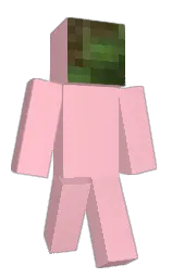 Slim Minecraft skin