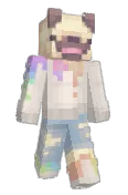 puggley