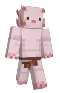 ELCOUILLONER's Minecraft skin