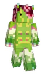 Minecraft skin — Slim model