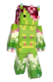 Front of Minecraft skin