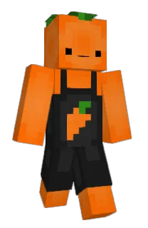 Front of cebinz's skin