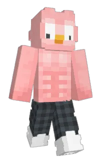 Front of 77EE's skin