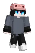 A_1XP