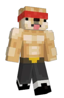 Front of Minecraft skin