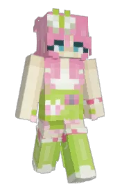 Skin preview