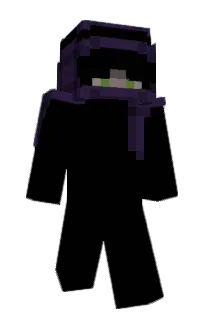 tomegy's Minecraft skin