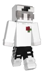 Slim Minecraft skin