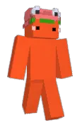 HamadryasBaboon