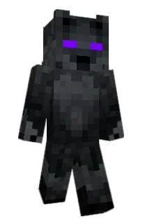 T0OK's Minecraft skin