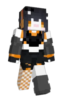 Front of sergentepinguino's skin