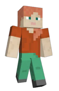Front of Discoo's skin