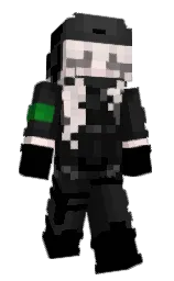 Slim Minecraft skin
