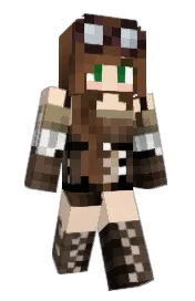 Skin preview