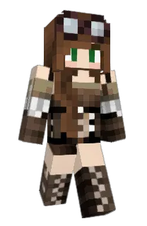 Front of InteCarro's skin