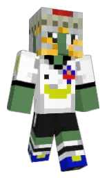 Minecraft skin — Classic model