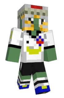 Front of Minecraft skin