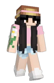 Skin preview