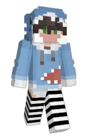 Skin preview
