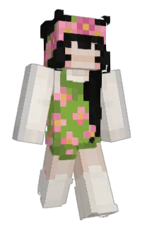 Front of soapsins's skin