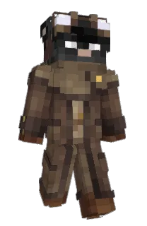 Front of Swainsy's skin