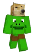 pokecraft231