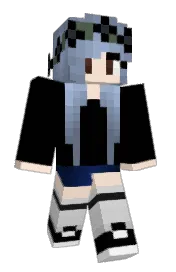 Skin preview