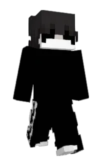 sxinn's Minecraft skin