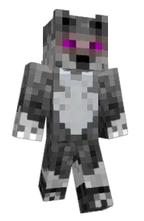Front of bacck's skin