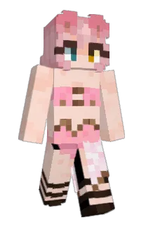 Front of Minecraft skin