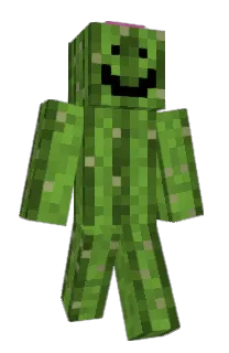 Front of papercamm's skin