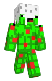 Skin preview