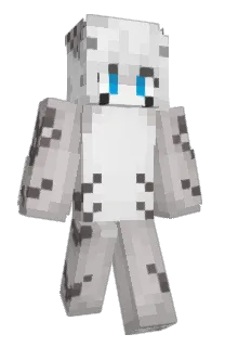 Front of soupilla's skin