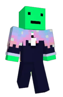 Front of catblitx's skin