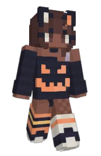 Front of Fayr1e's skin