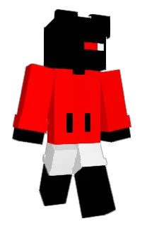 Front of S4NDWICH_'s skin
