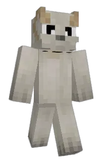 Front of Ouched's skin