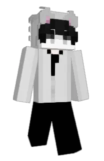 Front of hwxw's skin