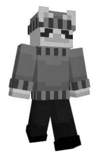Front of Hobbytwo's skin