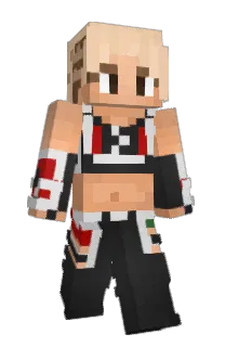 Birminggamer's Minecraft skin