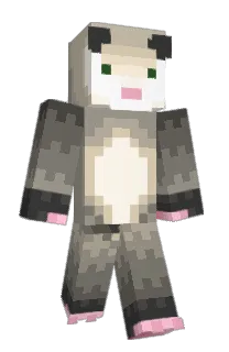 Front of Introversion's skin