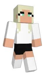 Classic Minecraft skin