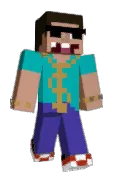 pellle2