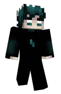 Front of xaomi's skin