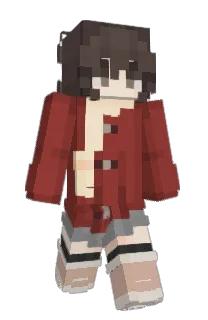 Front of Minecraft skin