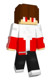 Front of S11PY's skin